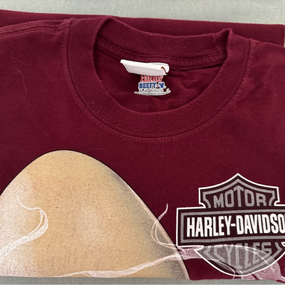 Harley-Davidson Burgundy Graphic Tee - Picture 3 of 4